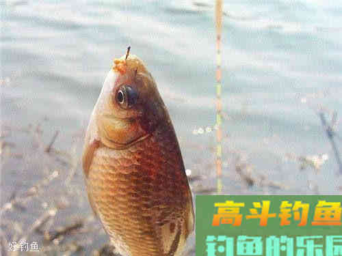 学会这3种基础调漂法，能应对大多数情况