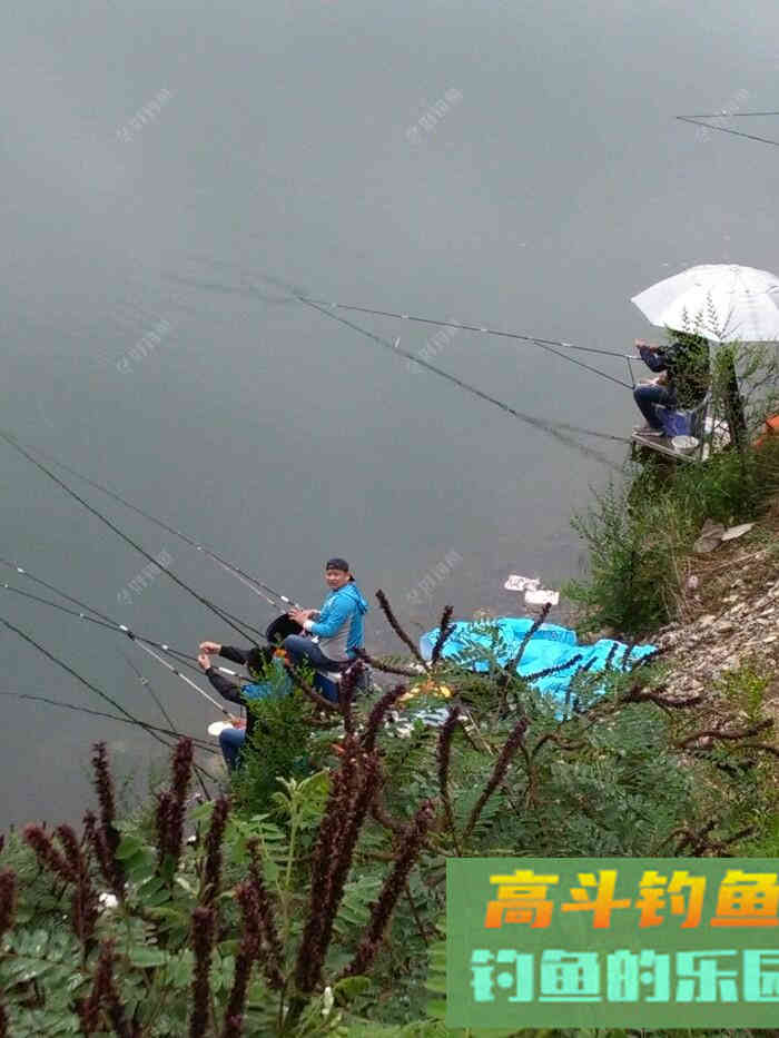 钓鱼视力不好，巧用醒目豆，浮漂不失灵敏性