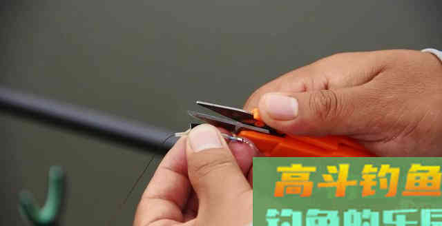 钓友们听说过口动漂、体动漂吗