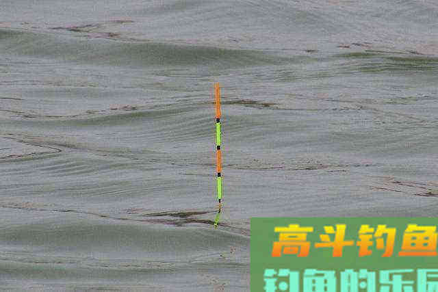 半水调漂，能抓住鱼口才是不可思议