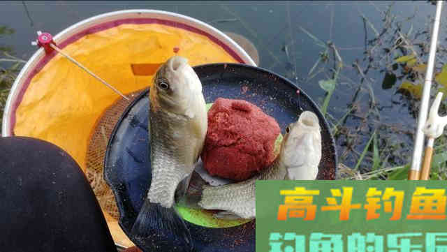 带钩调漂，为什么还要考虑钩重
