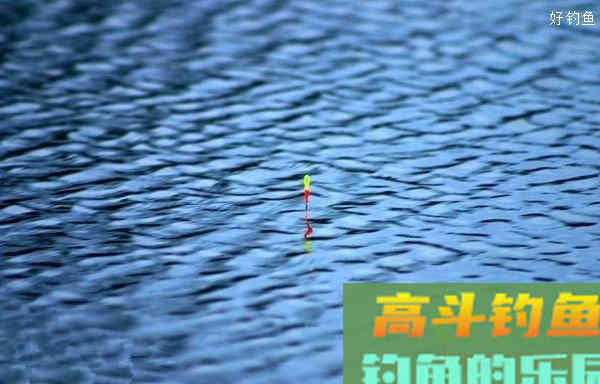 风天悬坠钓法把握浮漂信号的技巧