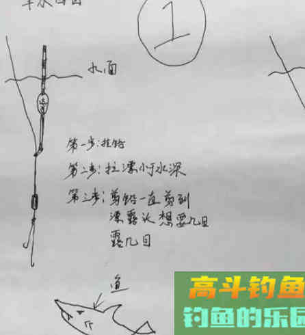 鲤鱼、鲫鱼、草鱼咬钩的漂相，你会看吗？