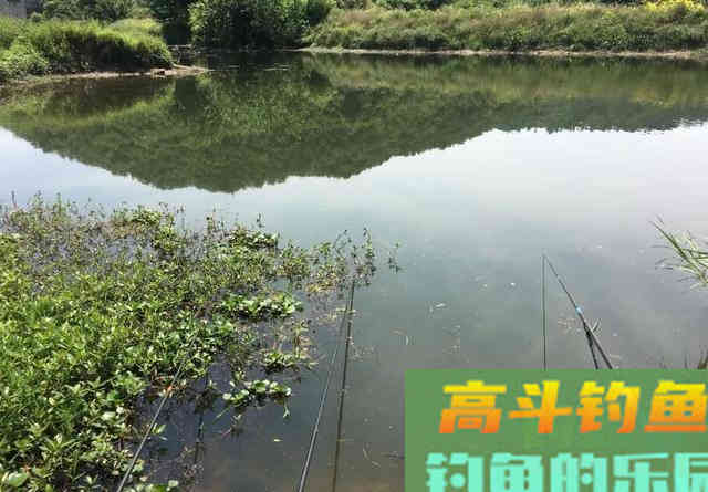 ​挑选浮漂要讲方法，老钓手分享，四步选漂法