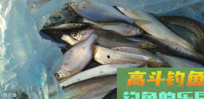 野钓如何选择吃铅大小的浮漂