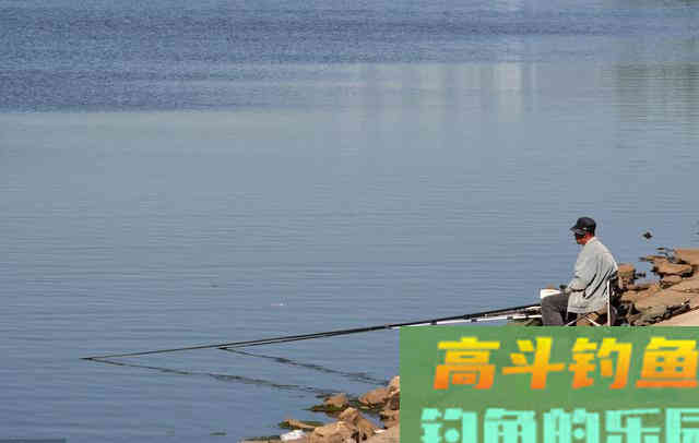 为什么漂不停动，但是鱼儿不中钩