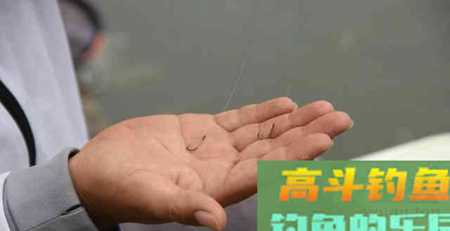 野钓鲤鱼的调漂法你会吗？先学会这2种调漂法