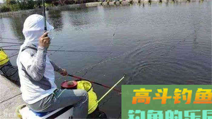 调漂常见的四个关于”底“的名词解析