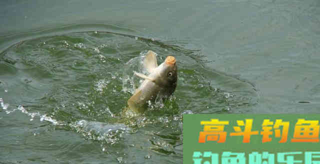 子线躺底，这样做的好处出乎意料