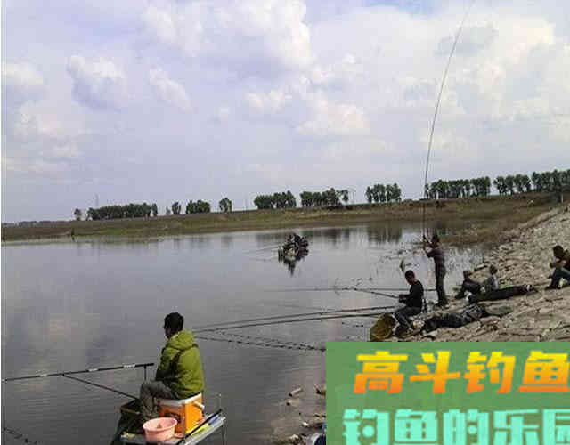 冬季鱼口轻、漂讯弱，两招就能搞定，读漂不再靠蒙