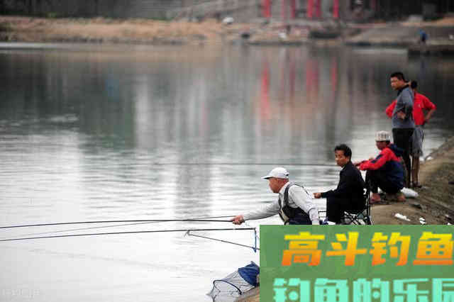 浮漂动作小看不清，总是跑鱼，试试这种调漂方法