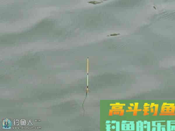 钓鱼浮漂的精准调漂方法