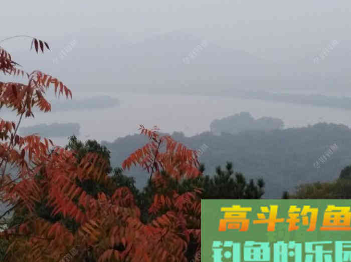 聊一聊钓鱼前的找底调漂操作