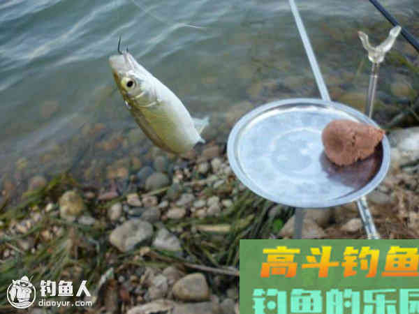 鱼口吃相与调漂的关系介绍