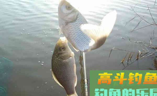 正确调漂需要了解的5件事