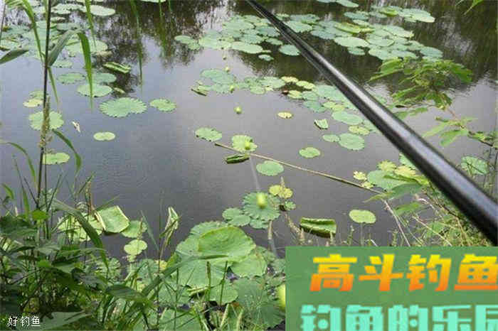七星漂使用技巧，秋季钓鲫鱼必备