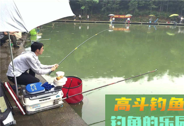 悬坠调钓的干扰因素：浮标与钓线