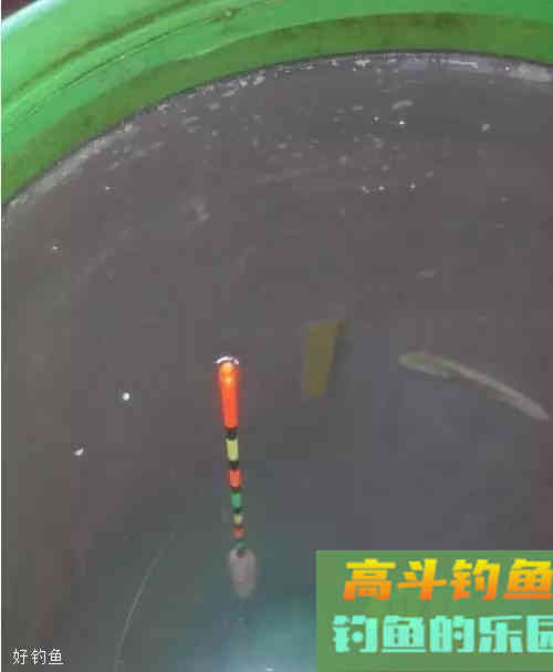 半水调漂挂蚯蚓饵的7个步骤