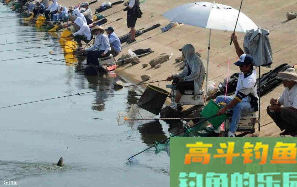 台钓调漂技巧精华，适合台钓入门新手