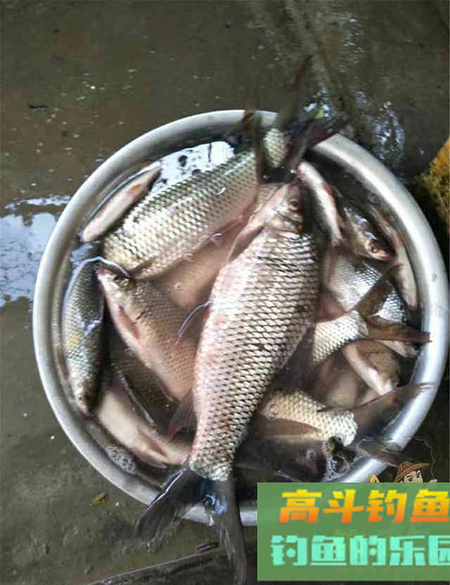 有关调漂的这几个技巧