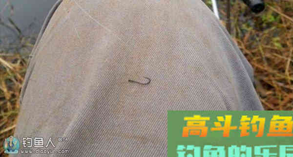 浅谈台钓找底与调漂的关系