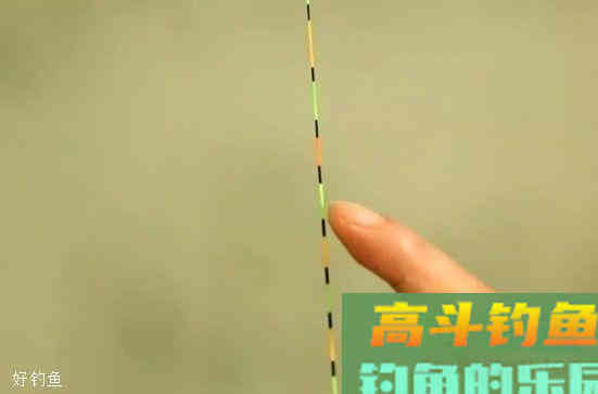台钓找底调漂小技巧，简单易学又有用