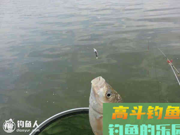 钓鱼高手的四大绝密浮漂调技参数法