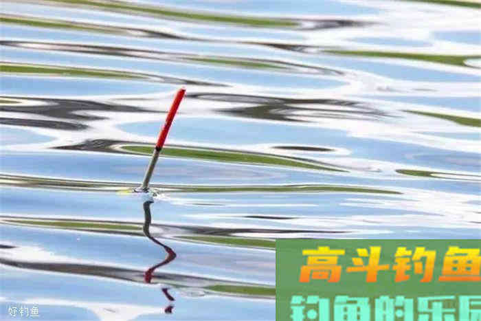 观漂相识鱼，十种常见漂相详解