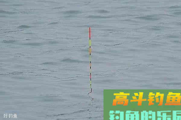 鱼饵有轻有重，调漂方法有啥不一样？
