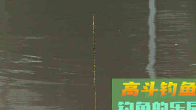 不带饵空钩调漂小细节，竞技钓野钓都适用