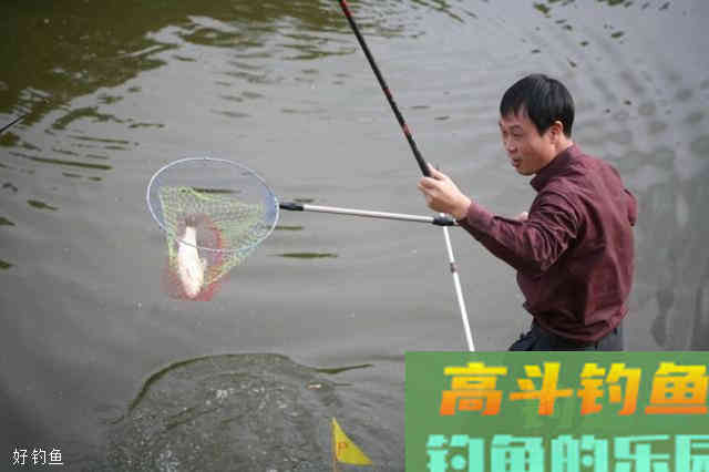 教你解读两个常见漂相，不打空竿