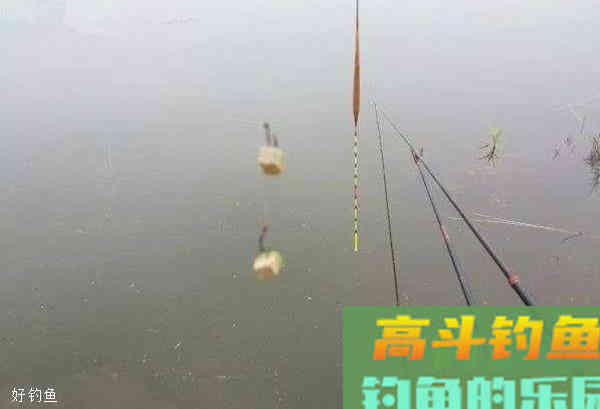 浅析调漂的要点与跑漂的原因