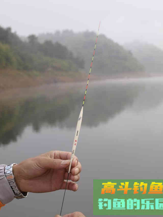 水深鱼大用大标，鱼小鱼稀用小标