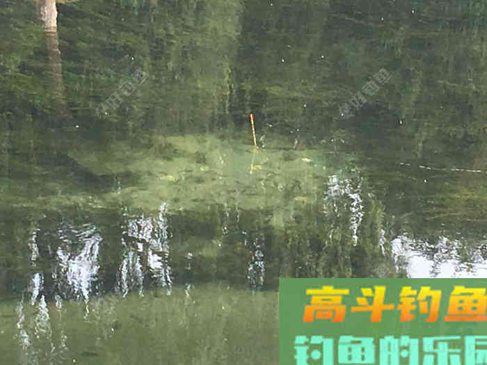 调四钓二是什么？怒怼调四钓二，这就是钓鱼界的葵花宝典