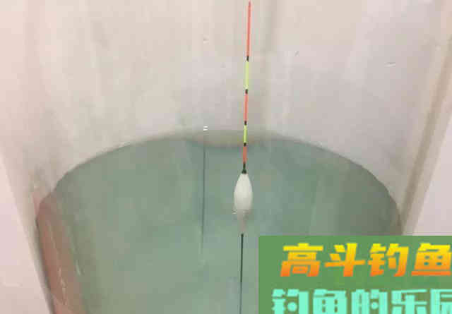 野钓最常见的几种调钓方式，不用为调几钓几发愁