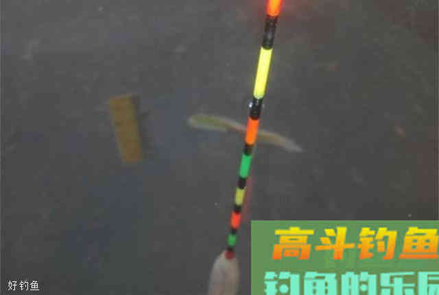 台钓调漂的钓灵钝与正确调漂方法