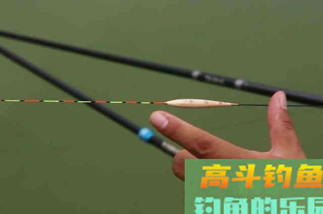 秋钓调漂中,最不应该忽视的三个误区或者坏习惯 秋钓调漂中,最不应该忽视的三个误区或者坏习惯