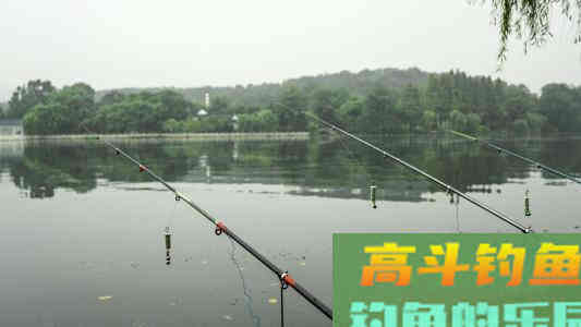 台钓的5种调漂方法讲解，调漂是台钓的重中之重