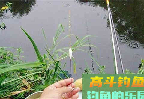 适合野钓的两种调漂方法，调漂简单快又准