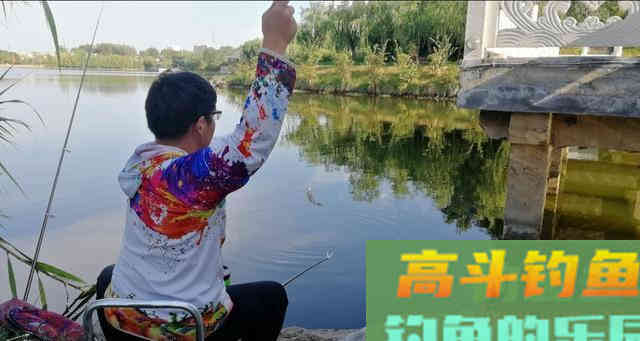 浮漂上有信号，就是提不上鱼，多数是这五个原因导致