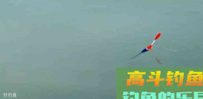 新手钓鱼人看过来，这些调漂找底技巧要知道