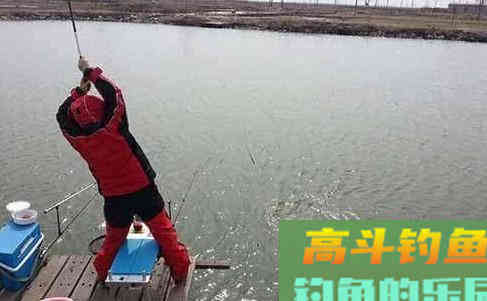 怎么看钓灵还是钓顿？20年老钓友两句话总结