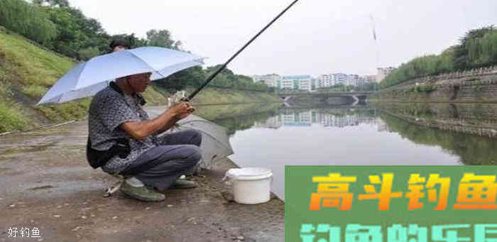 秋季钓鱼不会调漂？难怪大鱼总不上钩