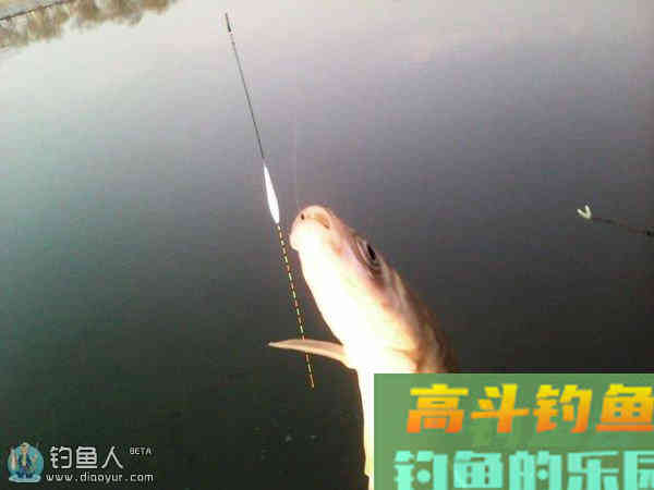 大师级别的终极调漂法分享