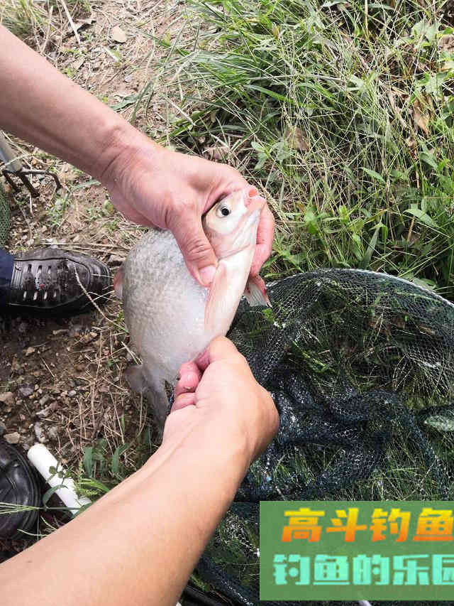 野钓调漂找底有必要吗？细节虽小，影响却不小