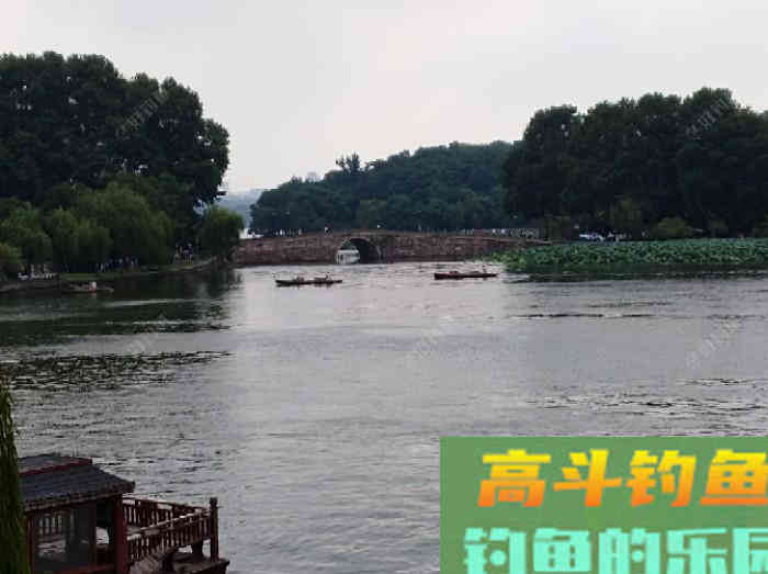 如何判断钓灵了还是钓顿了？