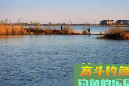 小崔解读：不同情况下调漂找底最佳方法