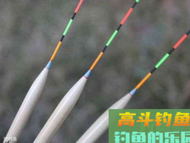 如何应对底钓浮漂信号异常问题？