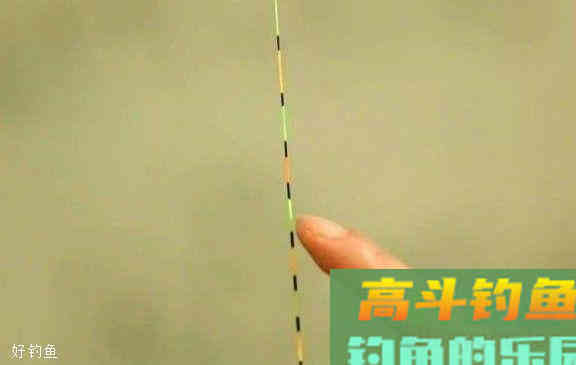钓鱼怎么调漂？怎么使用轻饵怎么使用重饵？