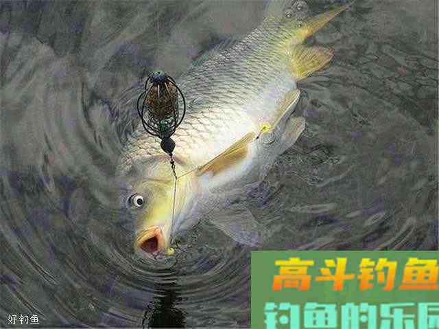 五个步骤，有效解决钓鱼调漂问题